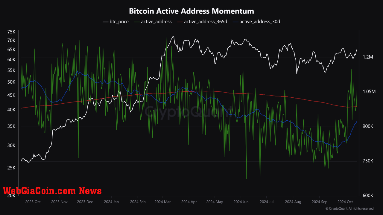 Bitcoin active addresses momentum. 