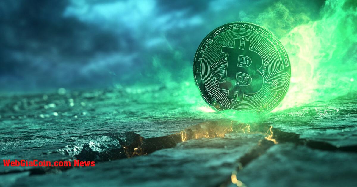 CIO của Bitwise cho biết Bitcoin sẽ vượt qua mức 100.000 đô la trong bối cảnh ETF bùng nổ và tích lũy cá voi