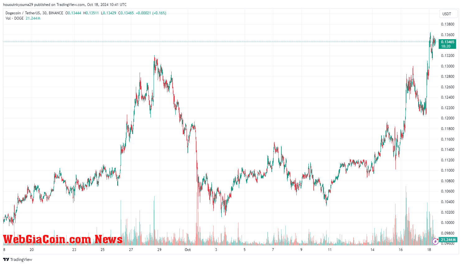 Dogecoin Price Chart