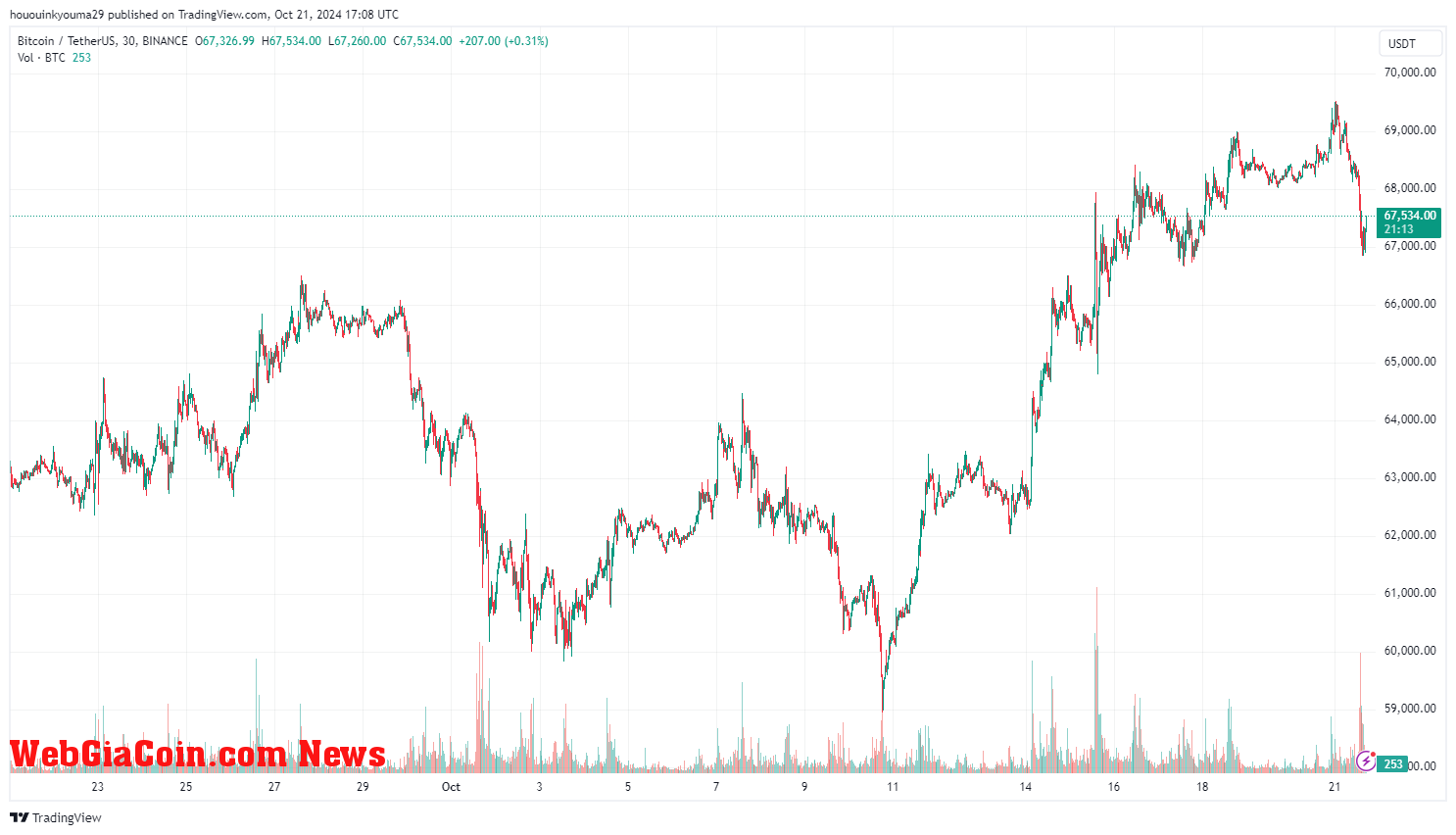 Bitcoin Price Chart