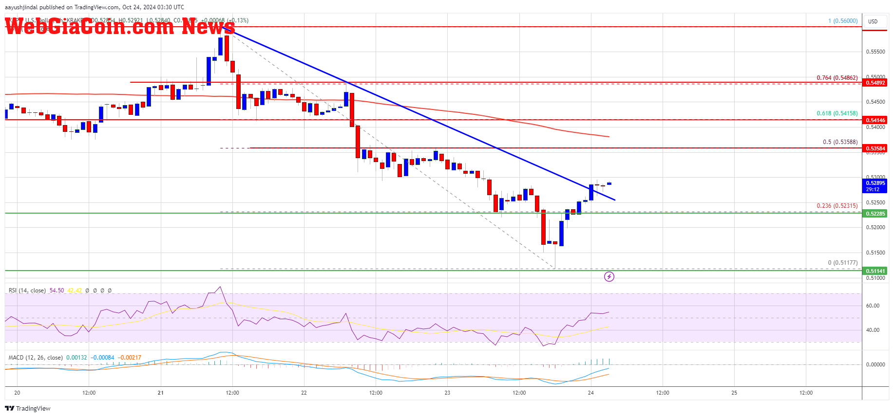 XRP Price