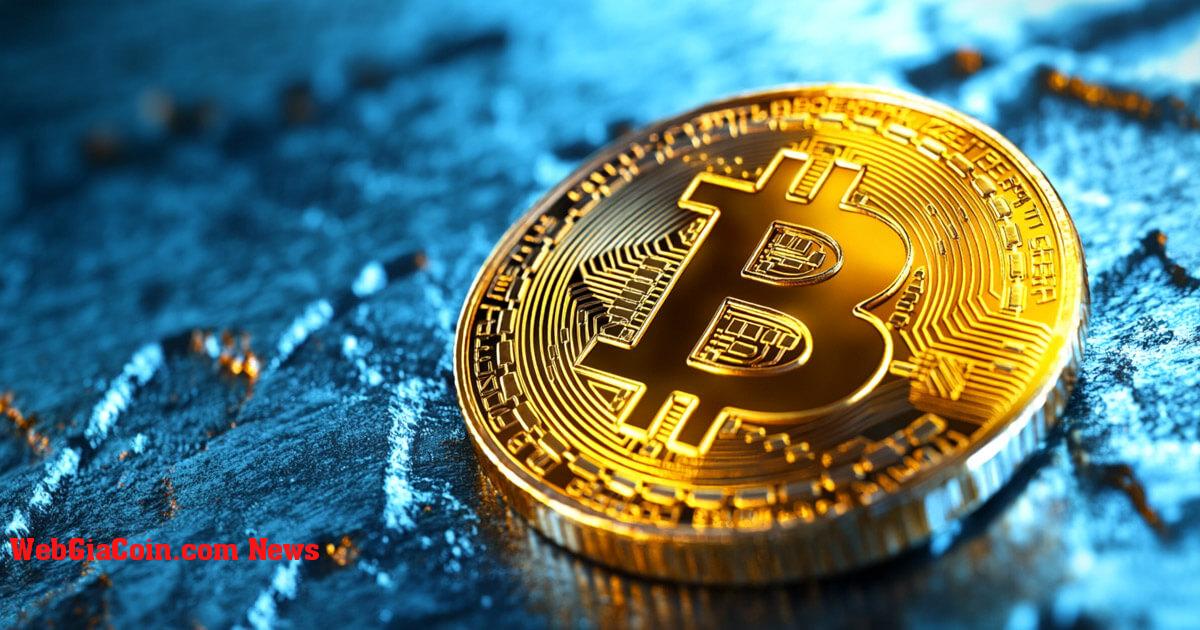 CEO CryptoQuant dự đoán Bitcoin sẽ trở thành một loại tiền tệ toàn cầu được chấp nhận trong vòng một thập kỷ