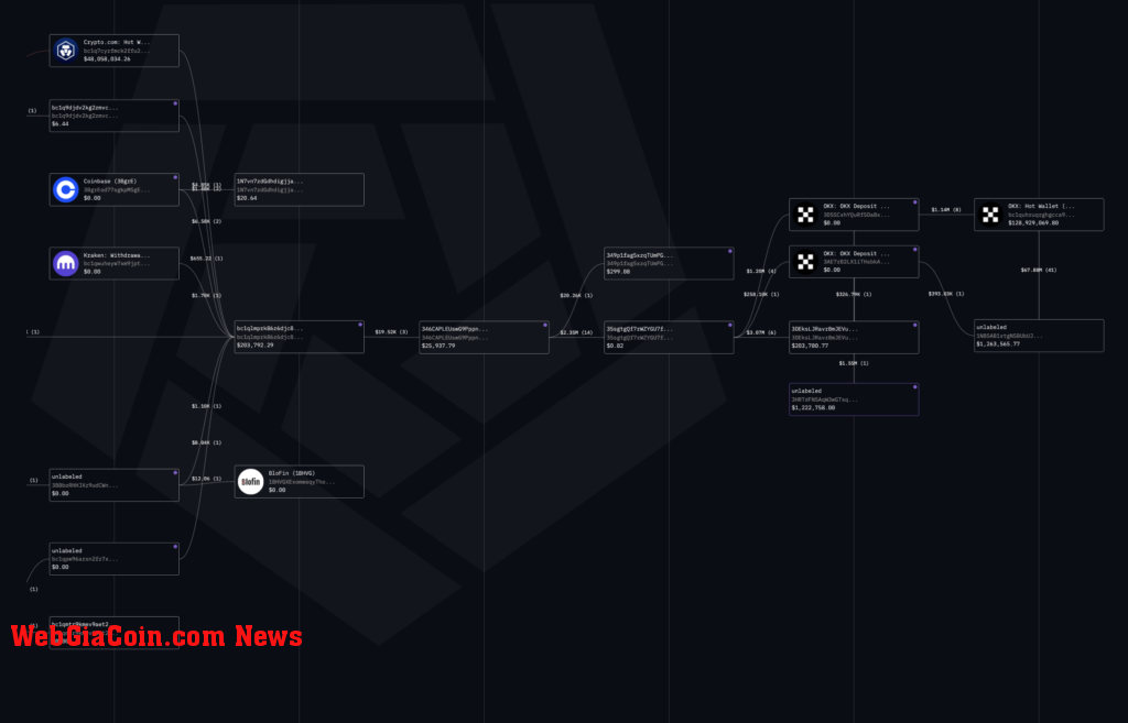 Bitcoin analysis of whale activity (Source: Arkham Intelligence)