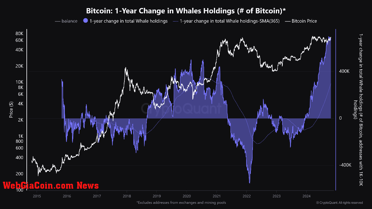 Bitcoin whales holdings