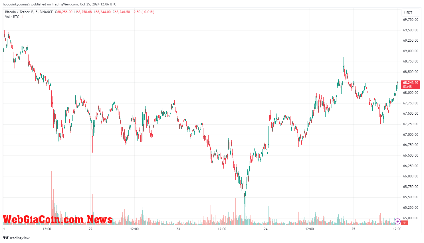 Bitcoin Price Chart