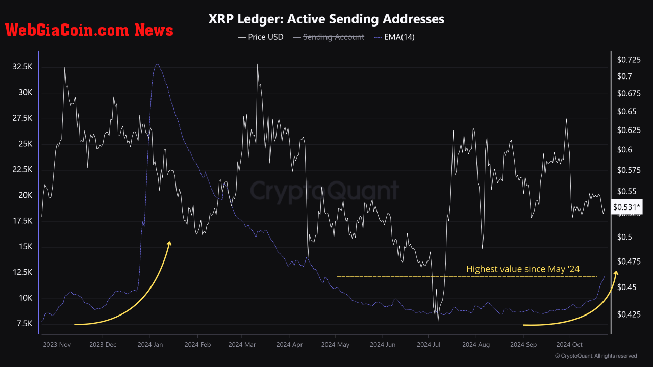 XRP active addresses. 