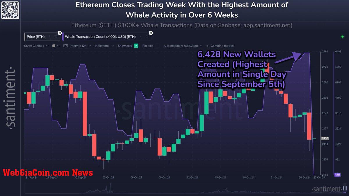 Ethereum whale activity spiked to a 6-week high 