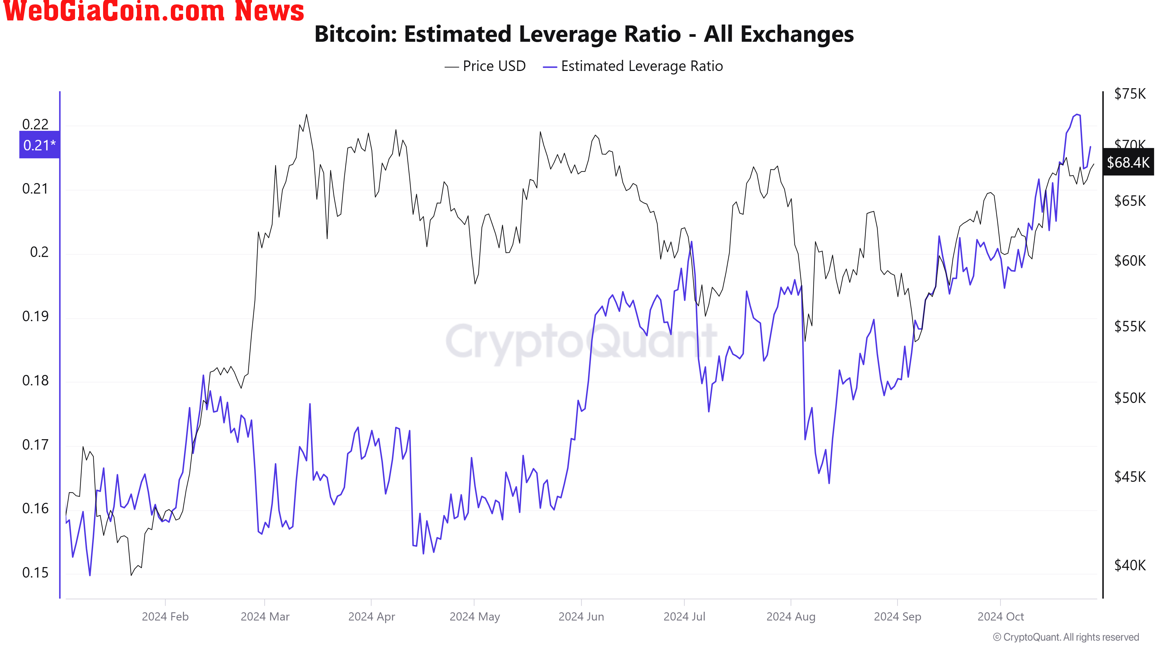 Bitcoin Leverage