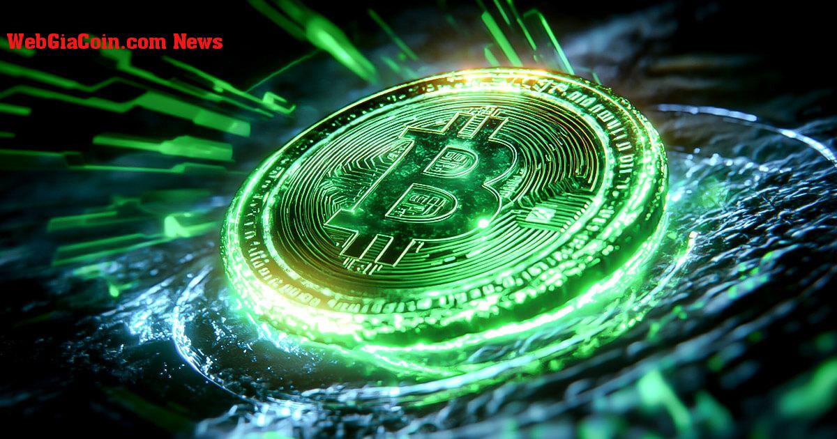 Bitcoin có thể đạt 200.000 đô la mà không cần đồng đô la sụp đổ – Bitwise CIO