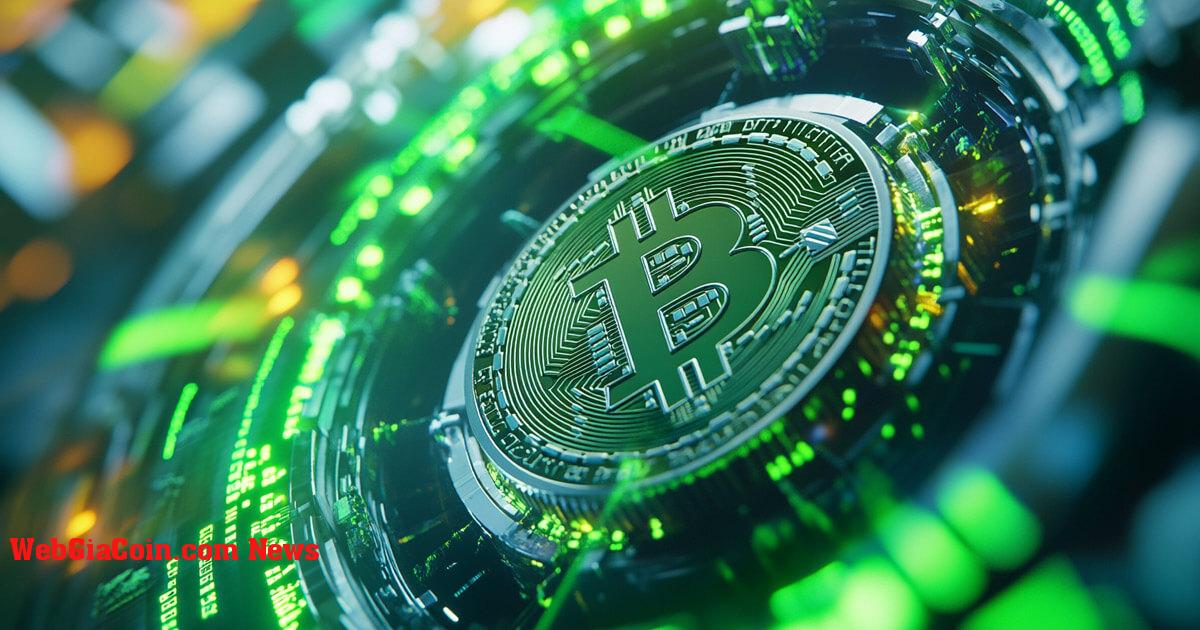 Nhà phân tích Power Law dự đoán Bitcoin có thể tăng vọt lên 300.000 đô la trong vòng 18 tháng