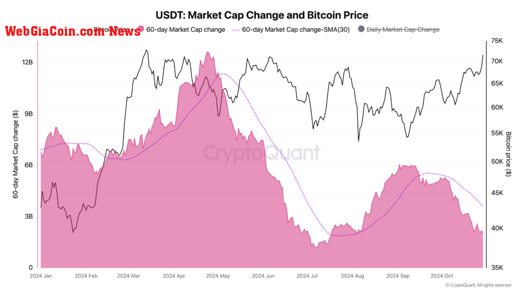 USDT maket cap (Source: CryptoQuant)