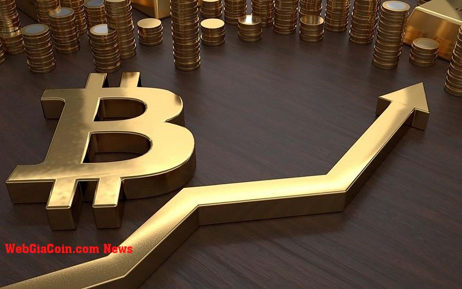 Bitcoin ETF rất quan trọng duy trì áp lực mua hiện tại - chi tiết