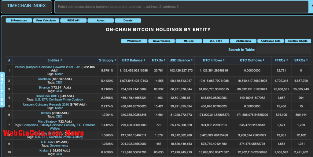 Bitcoin richlist (Source: Timechainindex)