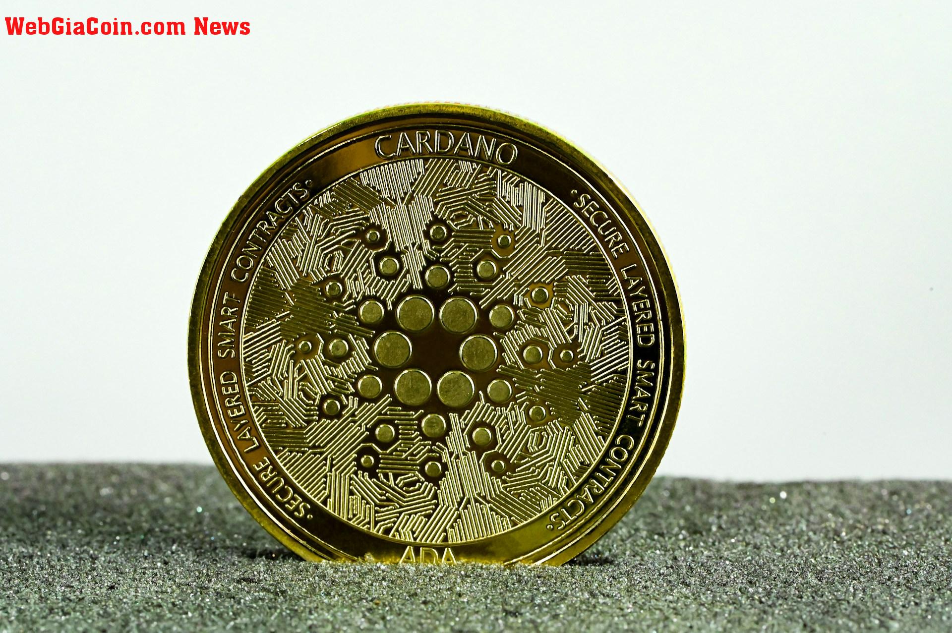 Cardano sẽ đạt 6 đô la Mỹ vào quý 3 năm 2025? Nhà phân tích dự đoán giá sẽ tăng 2.000%