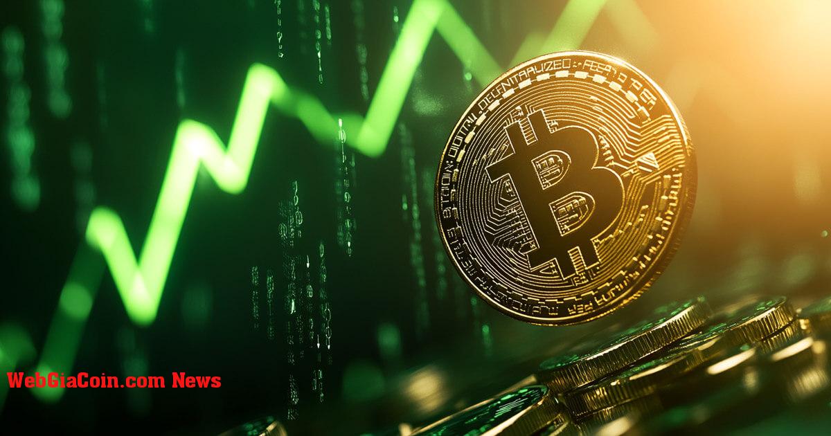 Bitcoin đạt mức cao kỷ lục mới cách 94.000 đô la vài inch