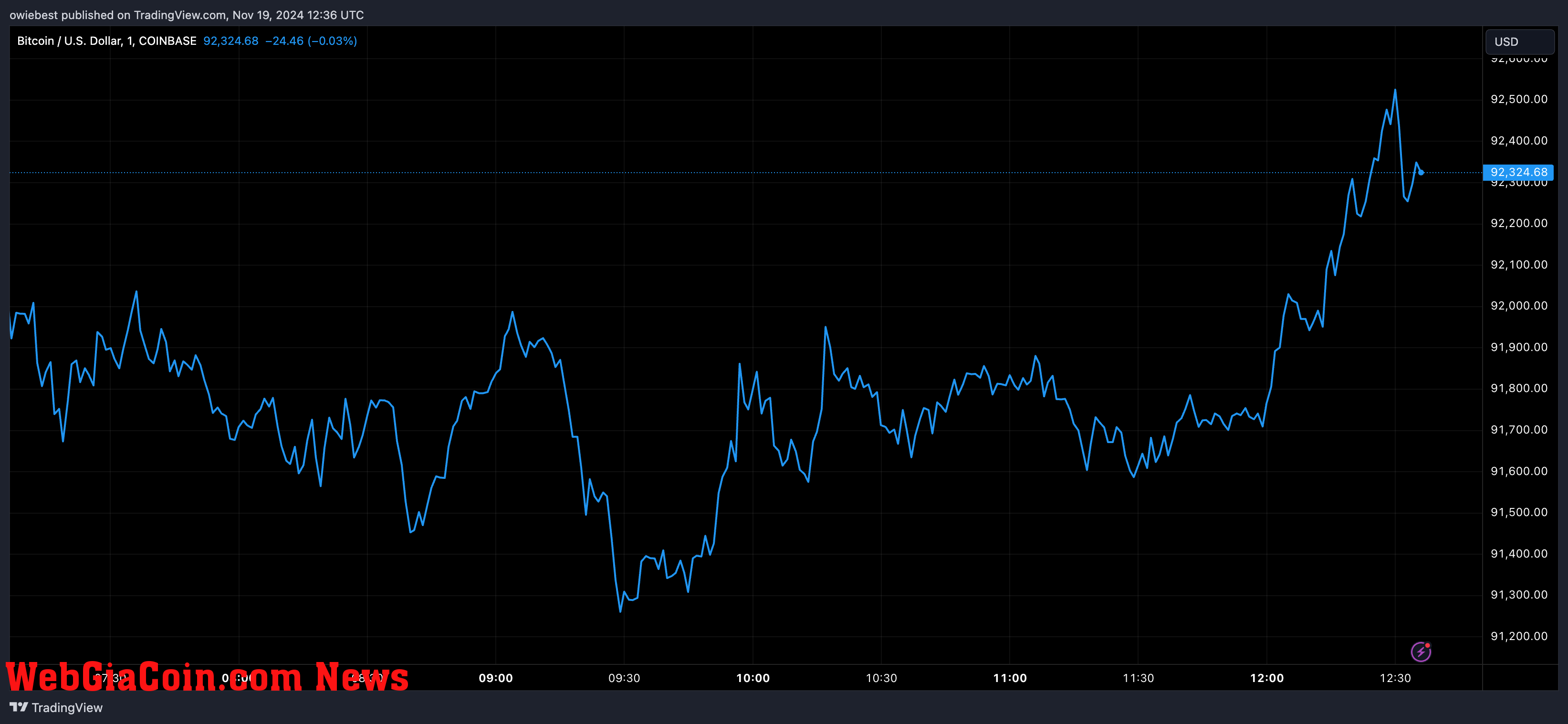 Bitcoin price chart from Tradingview.com