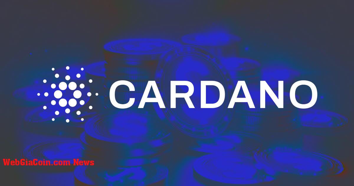 Cardano Charles Hoskinson tuyên bố sẽ có hành động pháp lý vì Wyoming không chấp nhận stablecoin