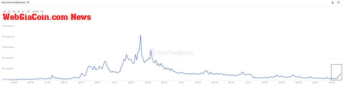 Cardano daily active addresses growing 