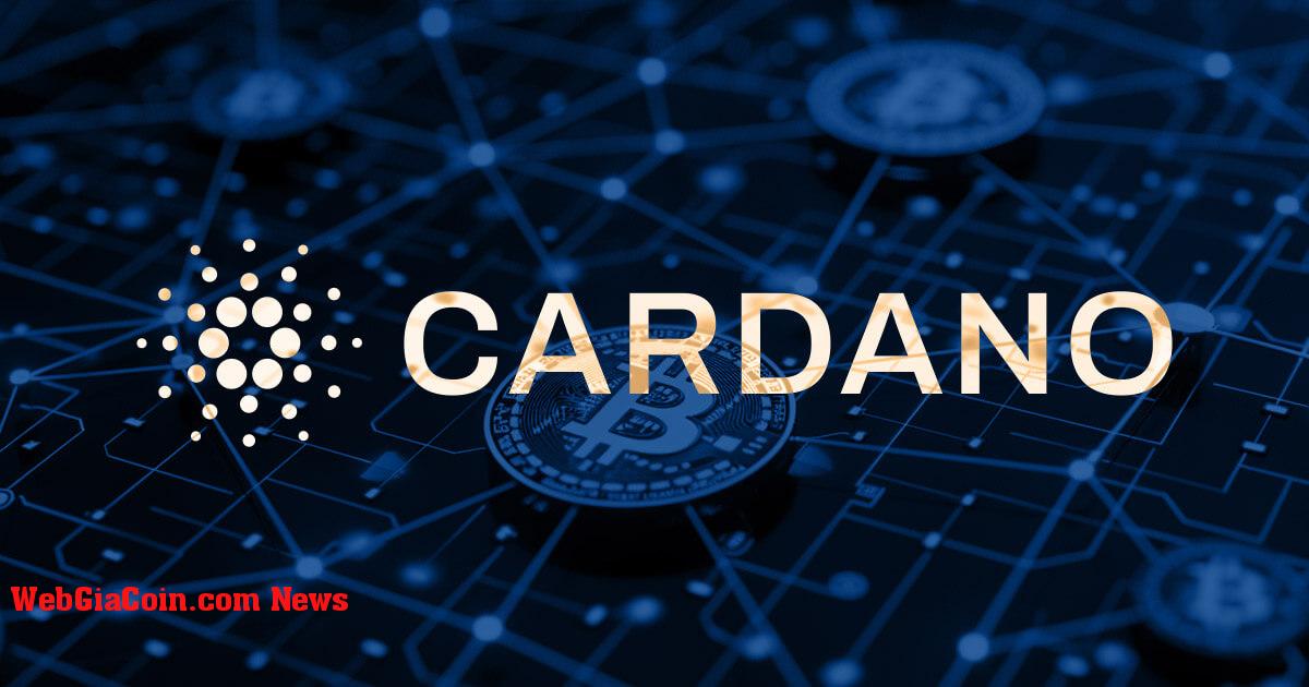 Cardano Charles Hoskinson ủng hộ hệ sinh thái Bitcoin hỗ trợ DeFi