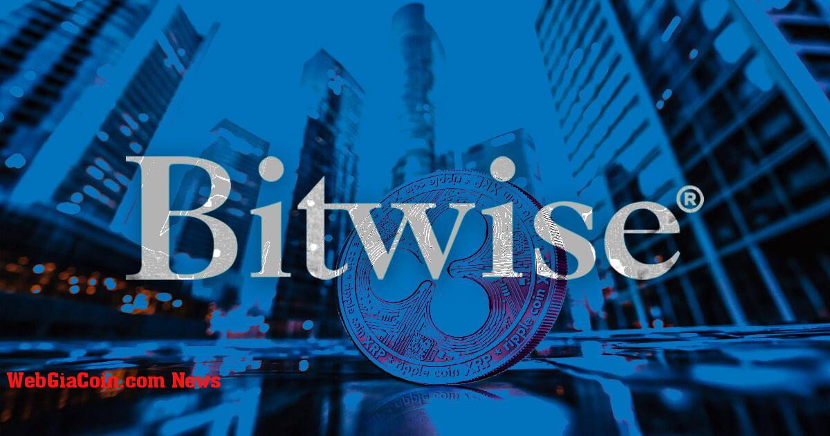 Ripple đầu tư vào quỹ Bitwise XRP trong bối cảnh ra mắt Quỹ XRPL mới