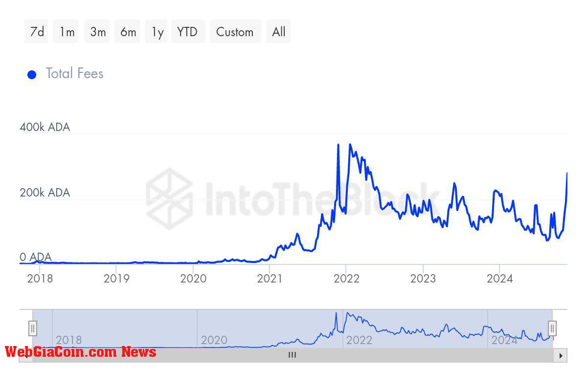 Cardano Total Transaction rise to multi-year highs 