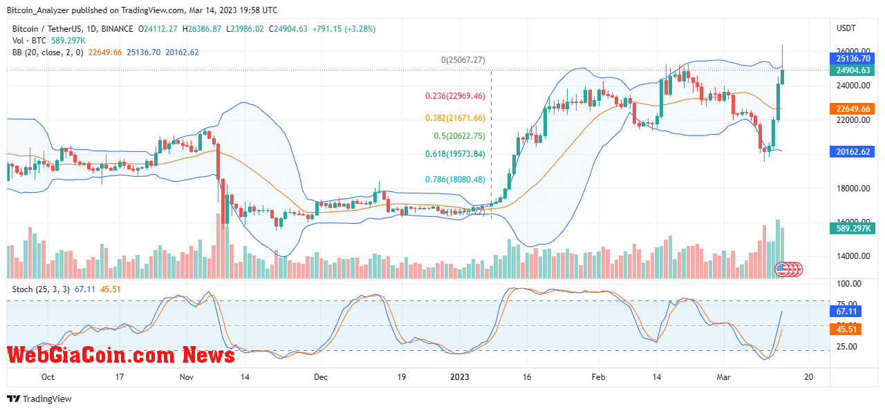 Bitcoin Price On March 14| Source: BTCUSDT On Binance, TradingView