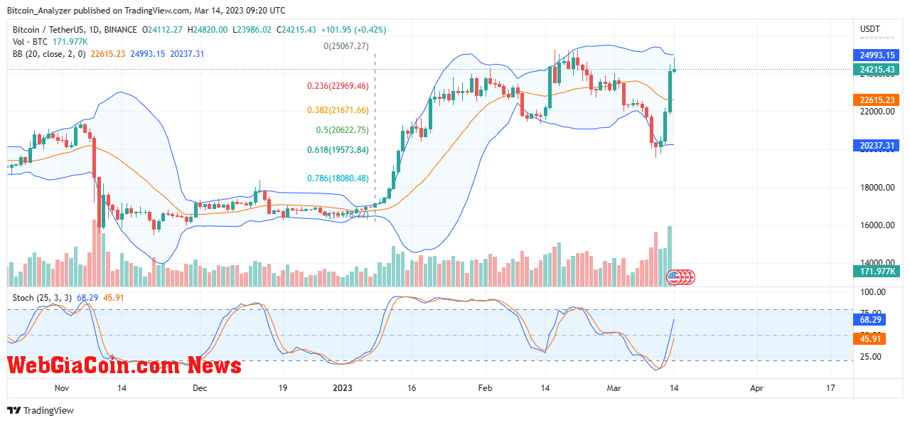 Bitcoin Price On March 14| Source: BTCUSDT On Binance, TradingView