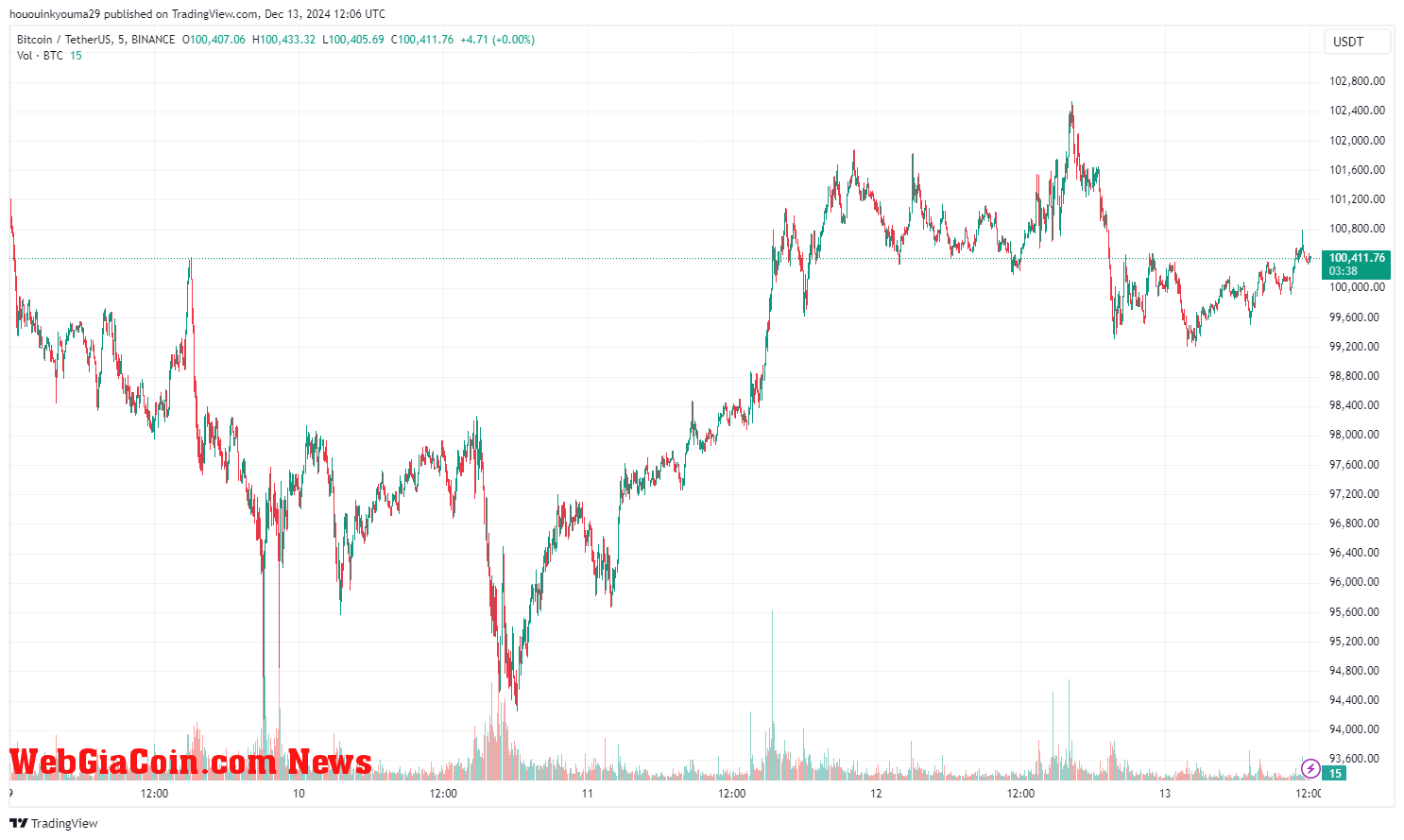 Bitcoin Price Chart