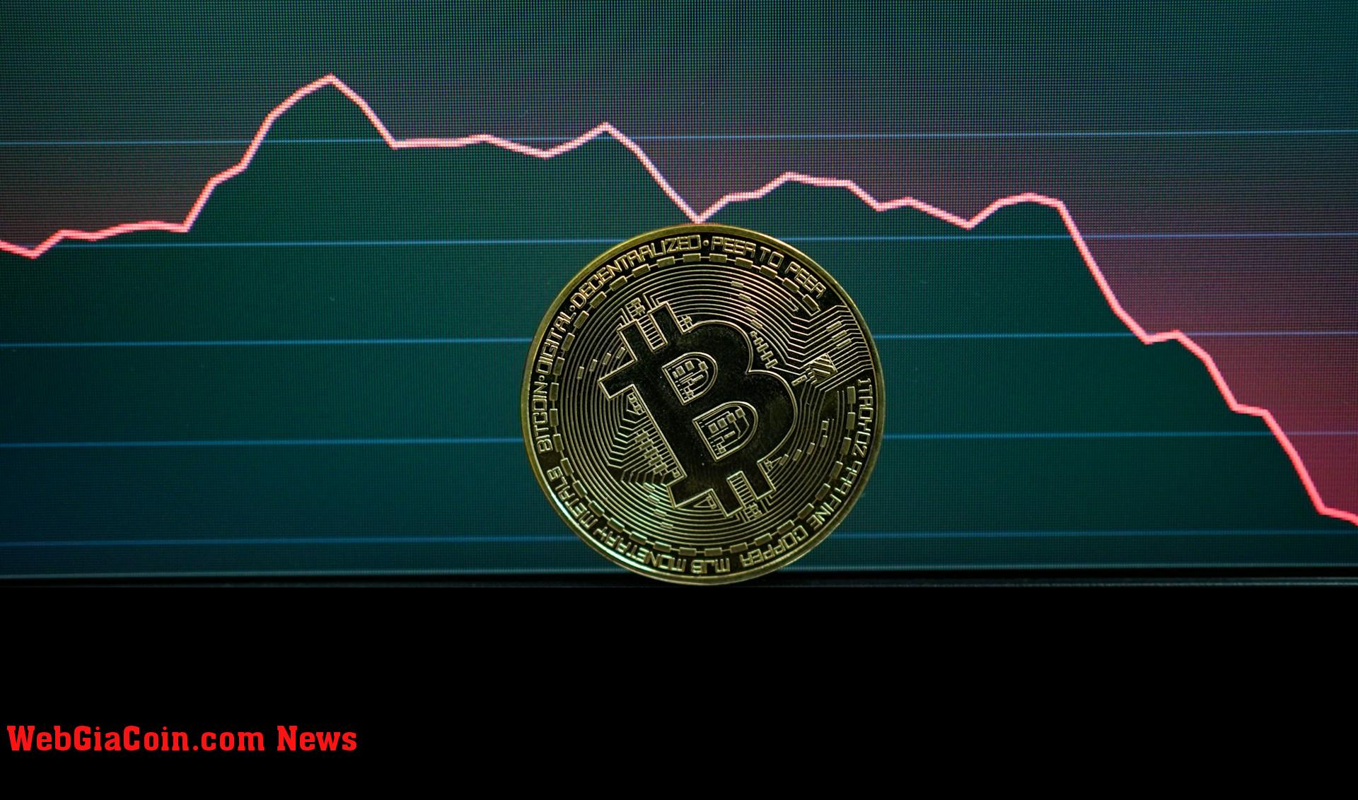 Bitcoin có khả năng bị bán tháo khi chỉ số này đạt 4%, nhà phân tích giải thích