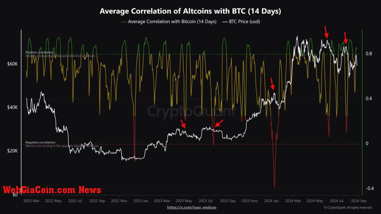 Average Correlation of Altcoins with BTC