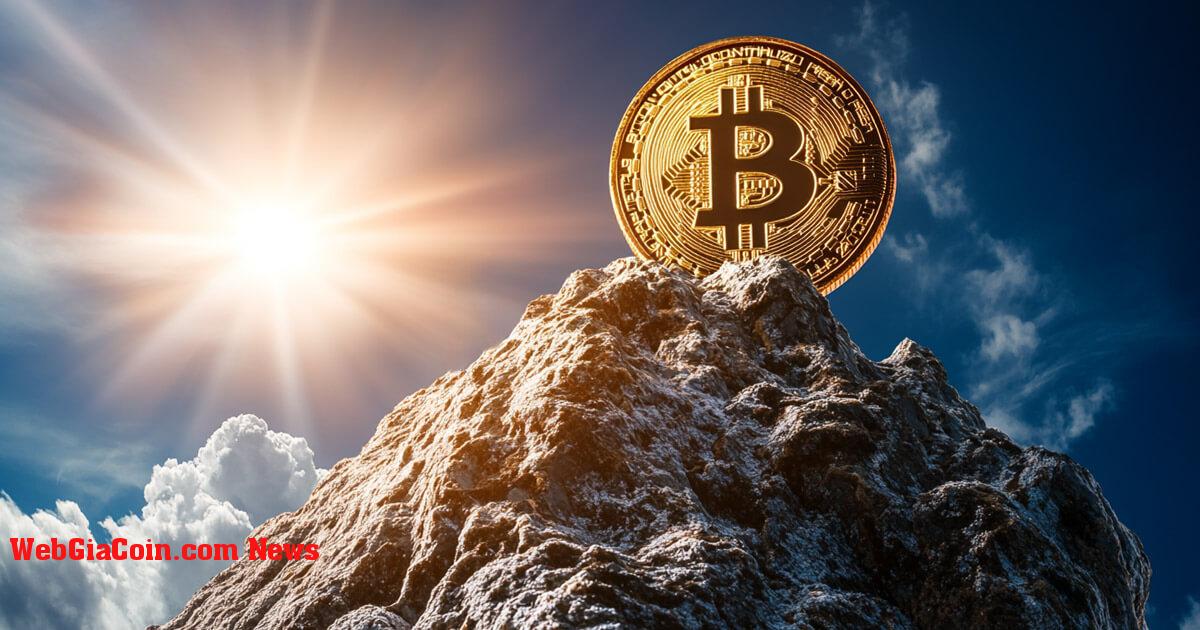 Bitcoin đạt mức cao kỷ lục mới là 106.000 đô la gây ra 313 triệu đô la thanh lý