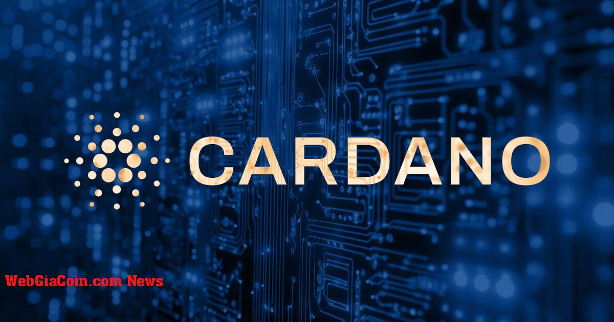 Cardano Foundation làm rõ vai trò và ưu tiên trong bối cảnh tranh chấp quản trị hệ sinh thái đang diễn ra