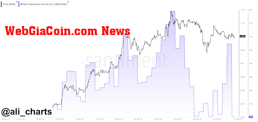 Cardano price