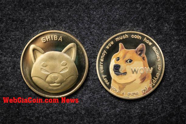 Giá Shiba Inu giảm xuống dưới 0,00002631 khi người bán chiếm ưu thế trên thị trường. Đã đến lúc mua chưa?