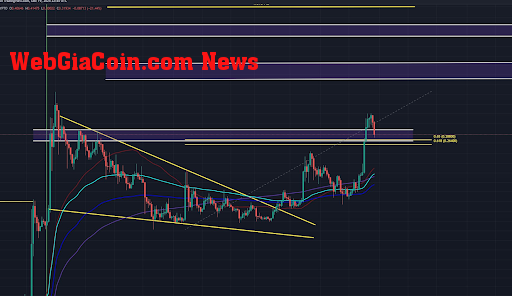 Dogecoin price