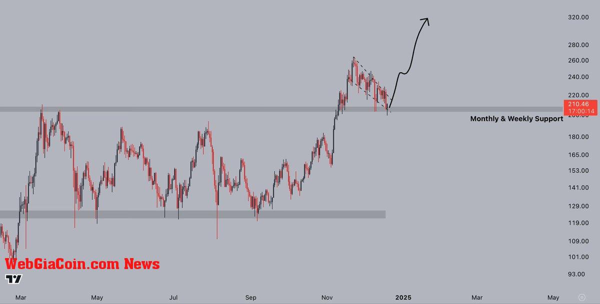 Solana successfully holding monthly/weekly support 