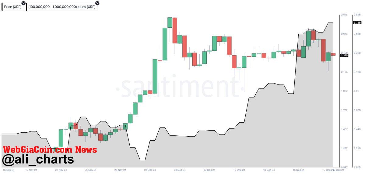 XRP whales loading up 