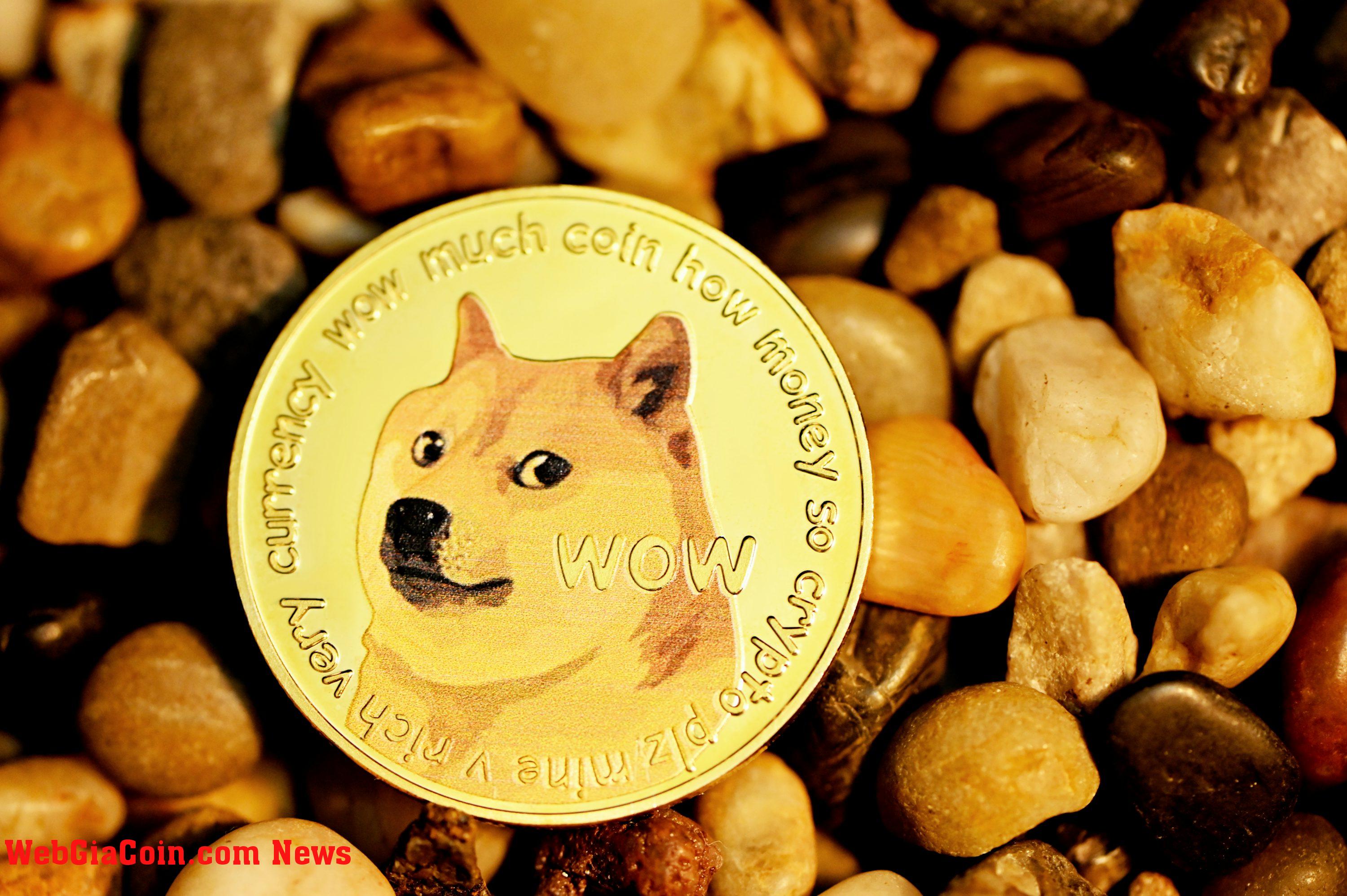 Giá Dogecoin trên 10 đô la: Dữ liệu lịch sử cho thấy DOGE sẽ tăng cao đến mức nào trong chu kỳ tăng giá này