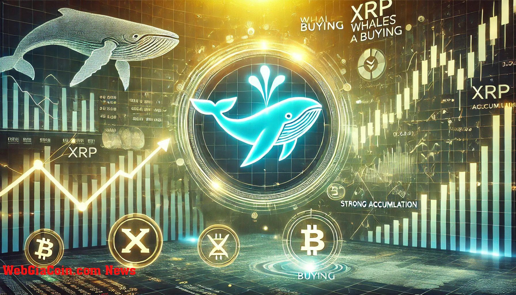 XRP nắm giữ mức nhu cầu chính – Hoạt động của cá voi cho thấy sức mạnh