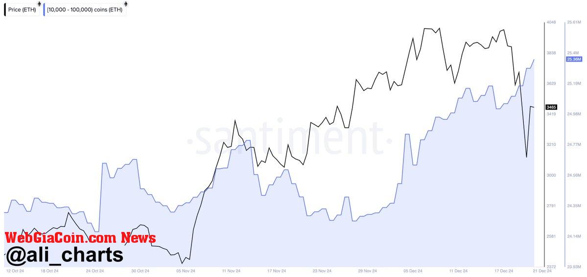 Ethereum whales bought 340,000 ETH in the last 96 hours 