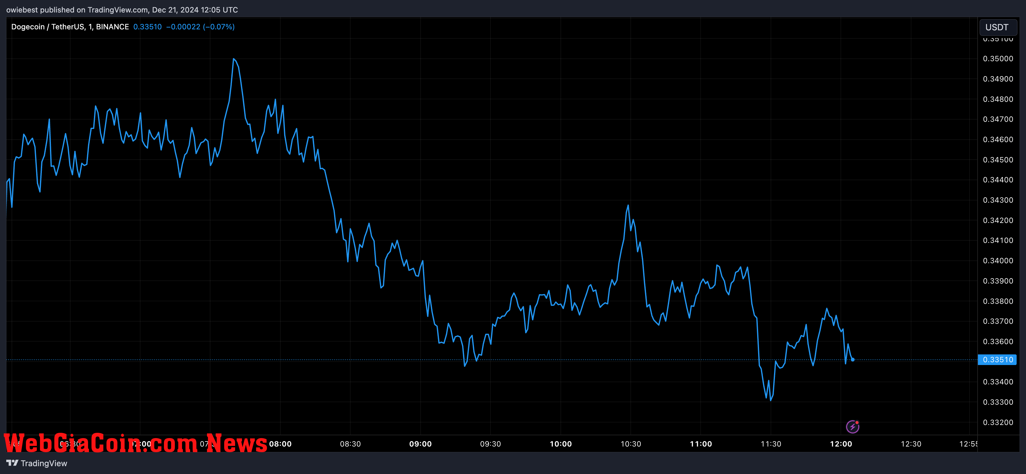 Dogecoin price chart from Tradingview.com