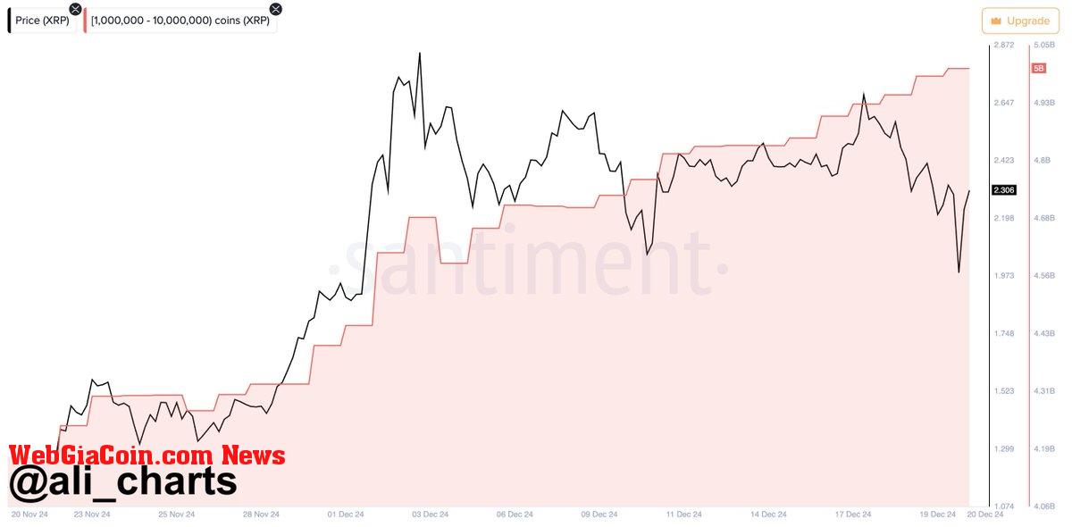 XRP Whales Loading Up 