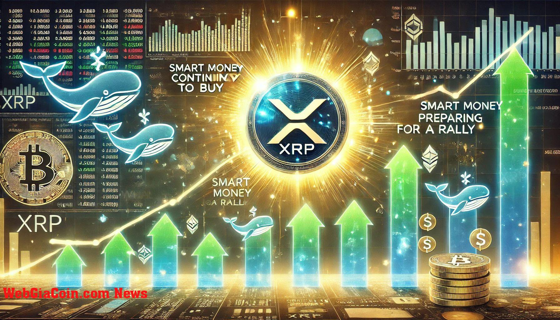 Cá voi XRP tiếp tục mua – Dữ liệu tiết lộ Smart Money chuẩn bị tăng giá