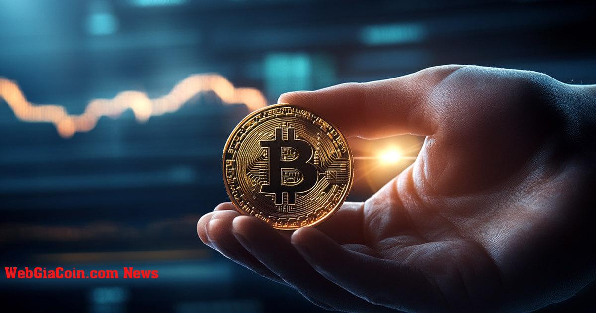 Các địa chỉ tích lũy Bitcoin thu được 225 nghìn BTC vào tháng 12 trong bối cảnh áp lực bán đáng kể