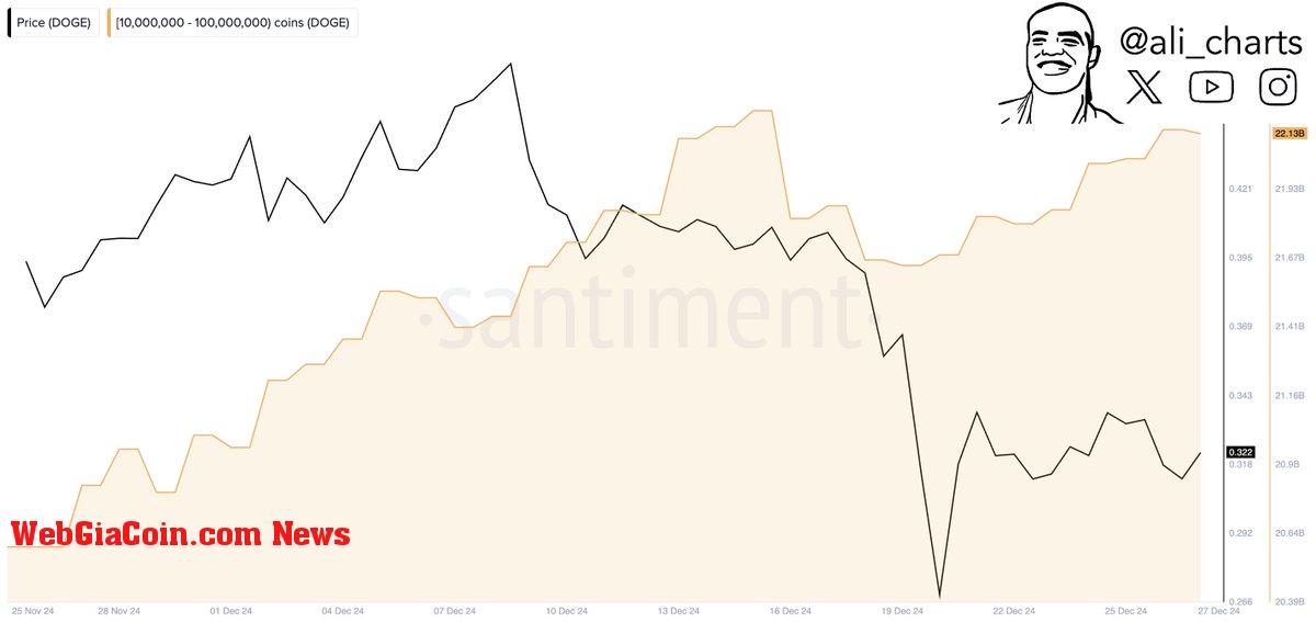 Dogecoin Whale accumulation taking place 