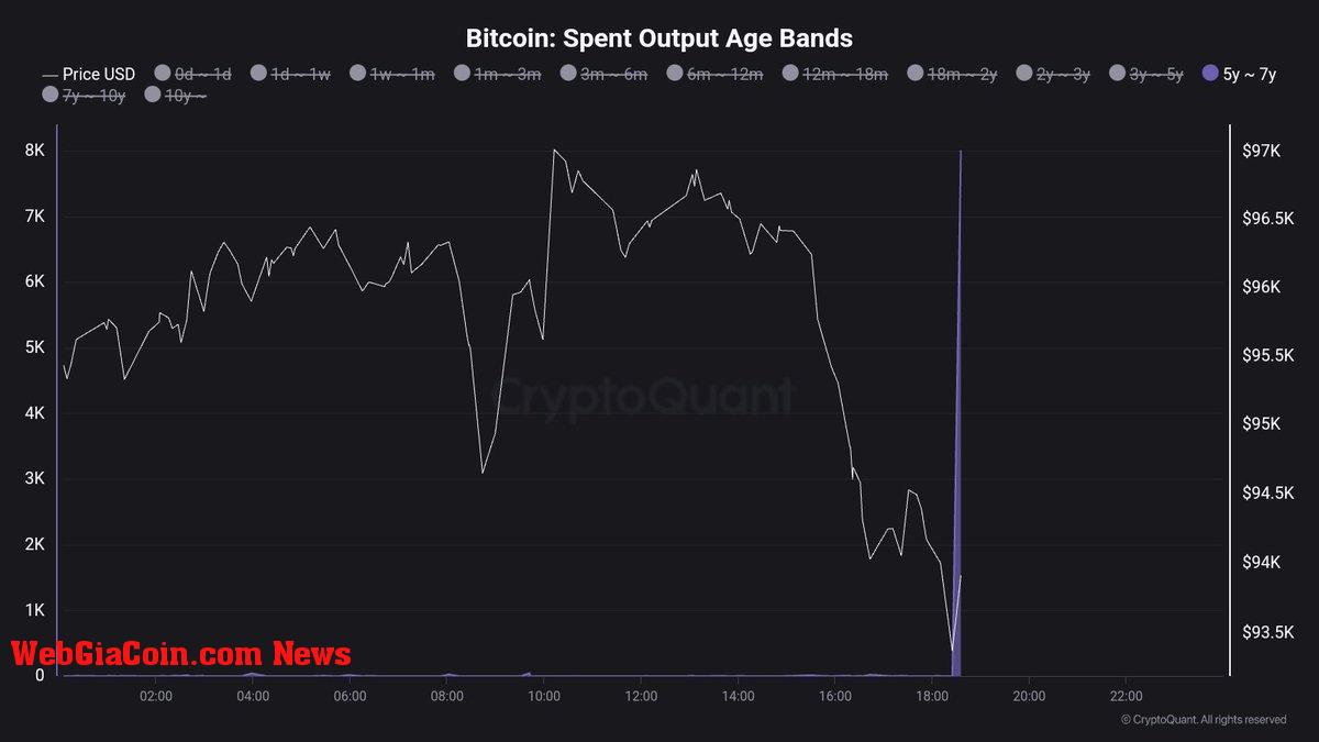 Bitcoin whale moved 8,000 BTC aged between 5y - 7y 