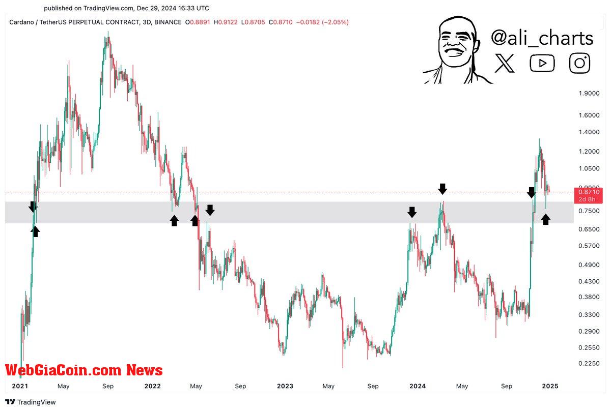 Cardano holding key support 