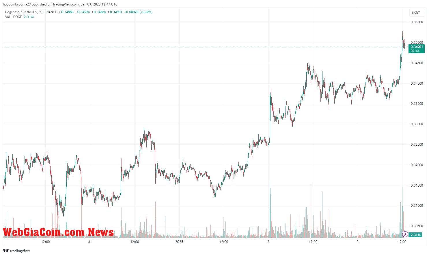 Dogecoin Price Chart