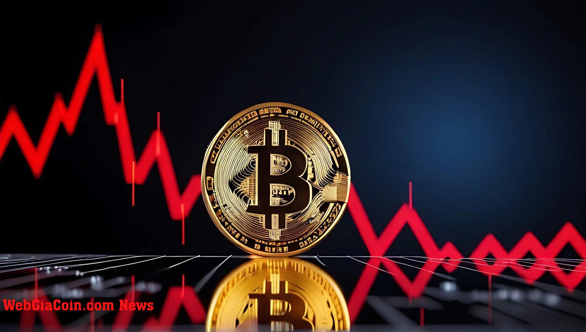 Bitcoin thống trị năm 2024, vượt qua vàng và các chỉ số chính - chi tiết