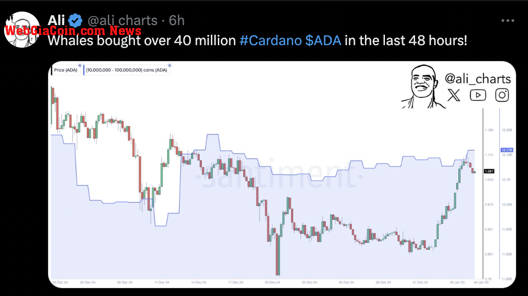 Cardano price